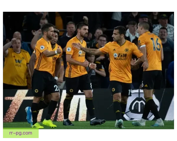 佩特洛维奇联赛杯点球大战惊险扑救助力球队获胜