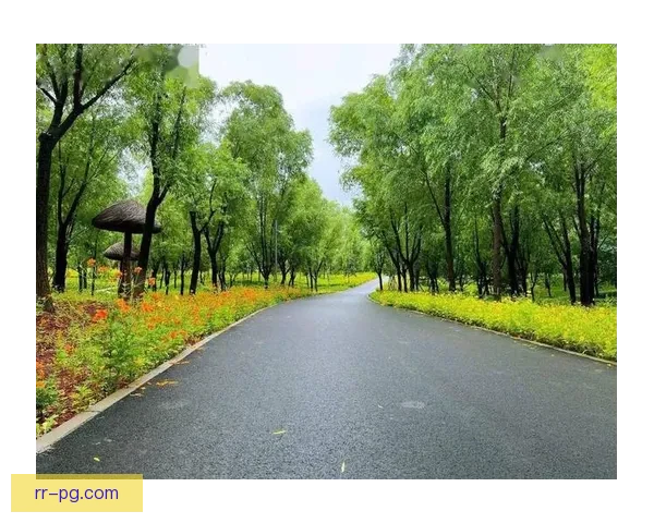 旧金山世界杯场馆周边将建绿色骑行车道促进低碳出行 旧金山世界杯场馆周边将建绿色骑行车道促进低碳出行